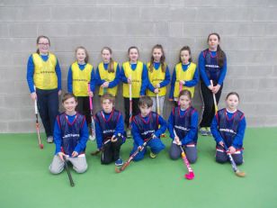 Hockey Team Success