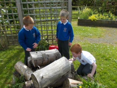 Gardening Club
