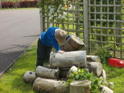 Mini Beast Hunt in Gardening Club